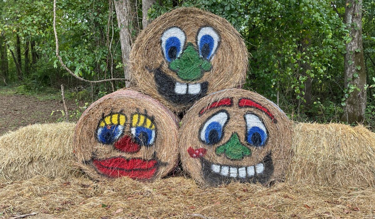 West Blount Corn Maze - Hayden, Alabama
