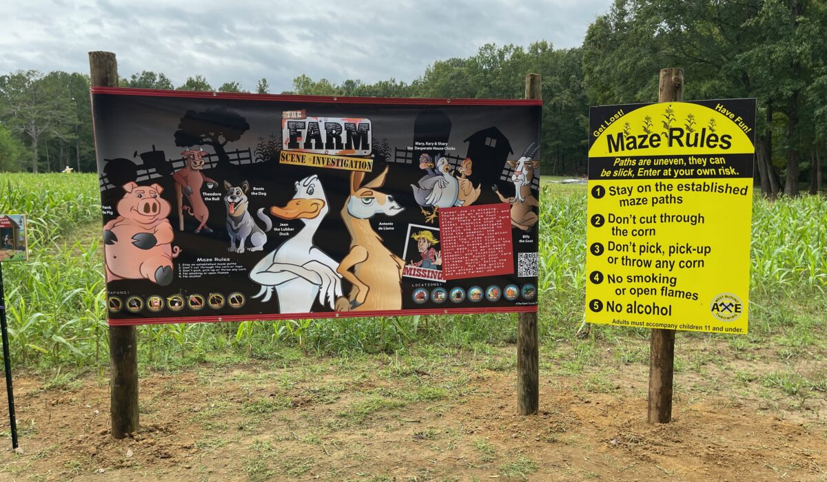 West Blount Corn Maze - Hayden, Alabama - Farm Scene Investigation Instructions at entrance to Corn Maze