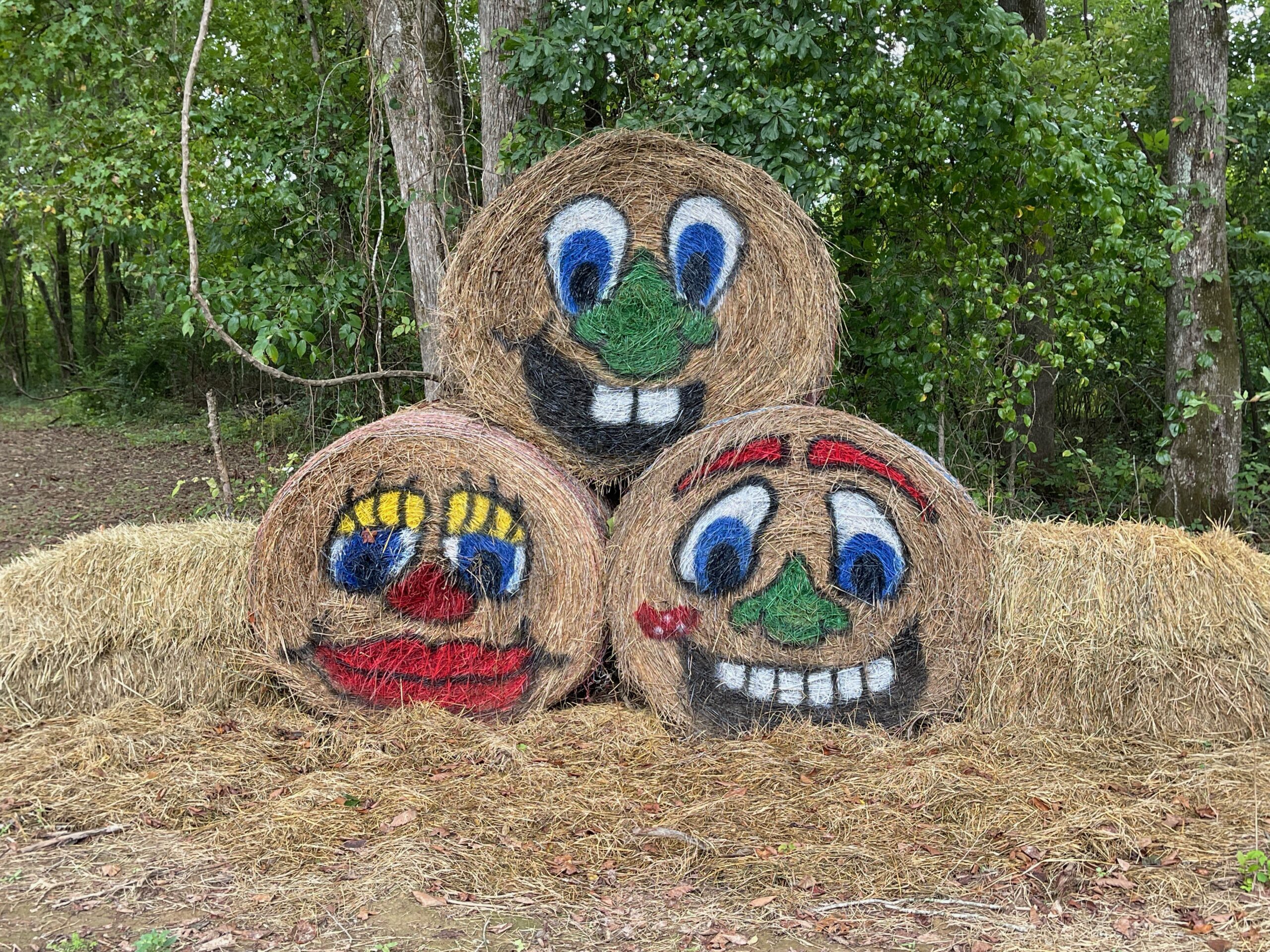 West Blount Corn Maze - Hayden, Alabama